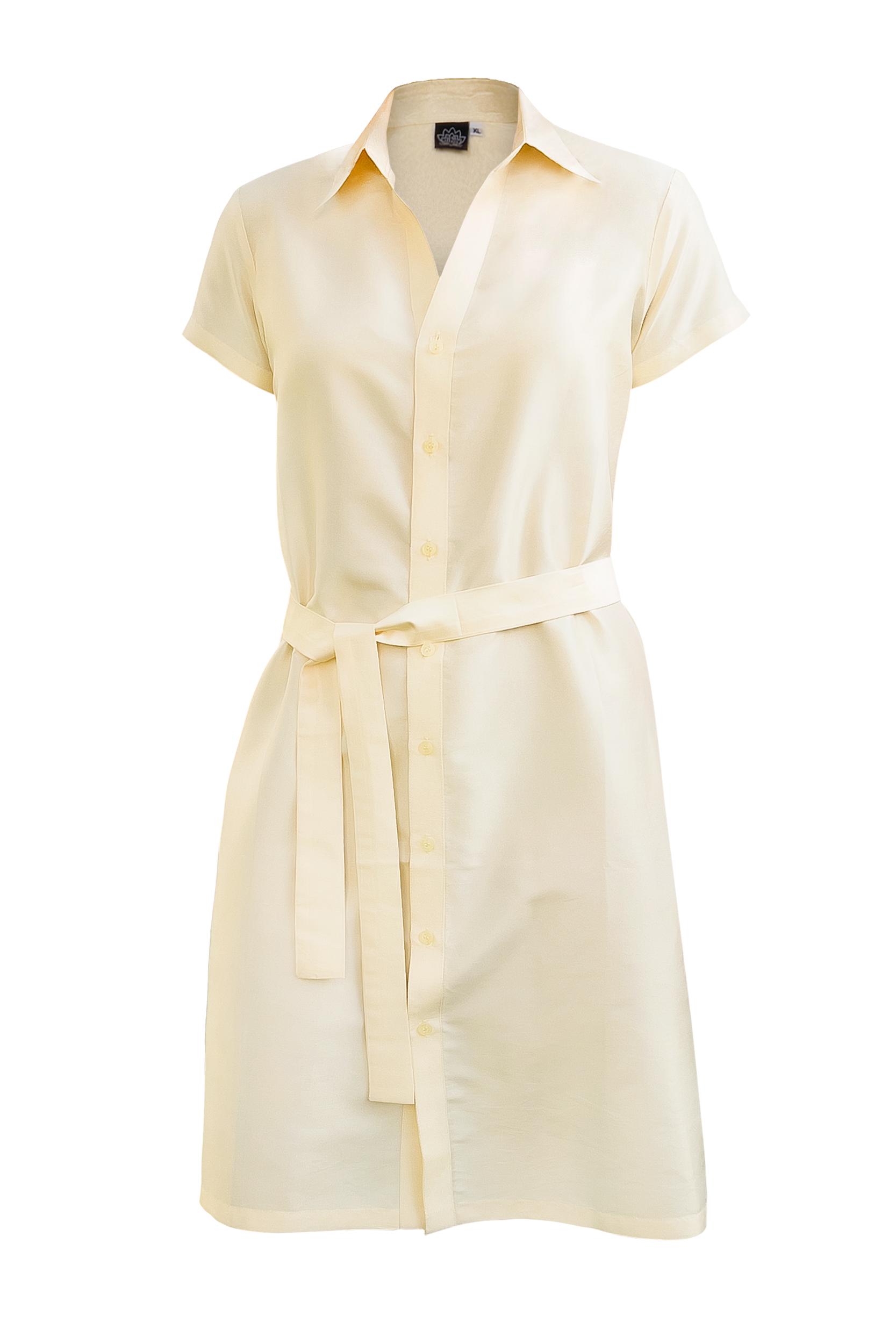 Silk Shirt Dress ANDREA